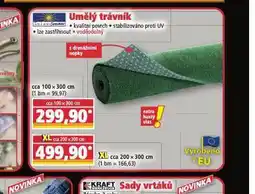 Norma Umělý trávník 100 x 300 cm nabídka