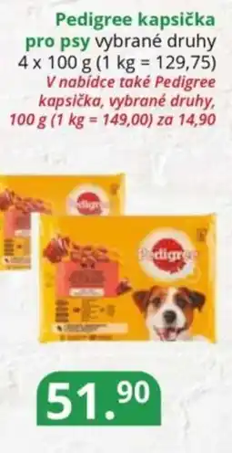 Potraviny CZ Pedigree kapsička pro psy nabídka