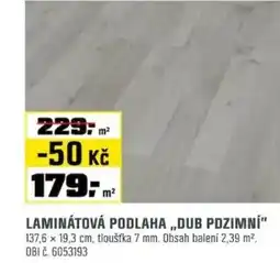 OBI Laminátová podlaha,,dub pdzimní" nabídka