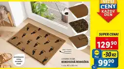 Lidl LIVARNO HOME KOKOSOVÁ ROHOŽKA nabídka