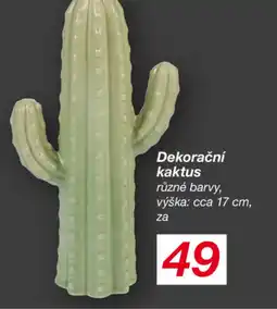 Dekorační kaktus