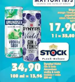 Jip Dynybyl Violet Gin & tonic Amundsen vodka & soda 250ml nabídka