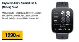 Datart Chytré hodinky Amazfit Bip 6 (10849) černé nabídka