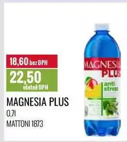 Ratio MAGNESIA PLUS 0,7l nabídka