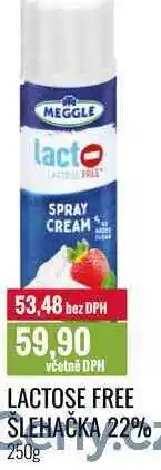 Ratio LACTOSE FREE ŠLEHAČKA 22% 250g nabídka