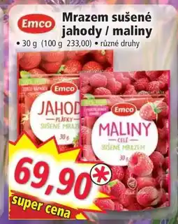 Norma Mrazem sušené jahody / maliny nabídka