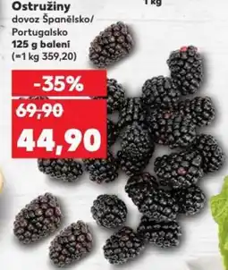 Kaufland Ostružiny nabídka