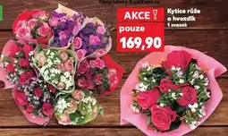 Kaufland Kytice růže a hvozdík nabídka