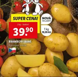 Lidl BRAMBORY RANÉ, 2 kg nabídka