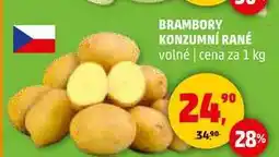 Penny Market BRAMBORY KONZUMNÍ RANÉ volné, 1 kg nabídka