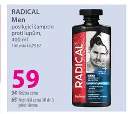Hebe RADICAL Men posilující šampon proti lupům nabídka