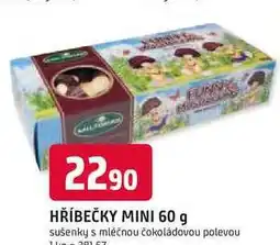 Trefa HŘÍBEČKY MINI 60 g sušenky s mléčnou čokoládovou polevou nabídka