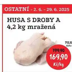 RABBIT řeznictví HUSA S DROBY A 4,2 kg mražená (cena za kg) nabídka