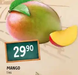 Terno Mango nabídka