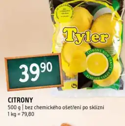 Terno Citrony nabídka