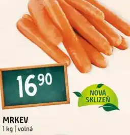 Terno Mrkev nabídka
