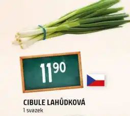 Terno Cibule lahůdková nabídka