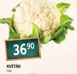 Terno Květák nabídka
