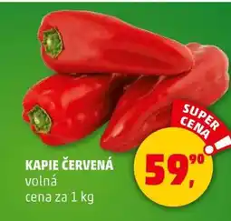 Penny Market KAPIE ČERVENÁ nabídka