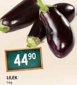 Terno Lilek nabídka
