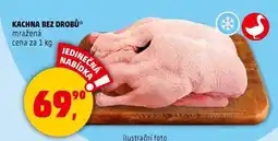 Penny Market Kachna bez drobů nabídka