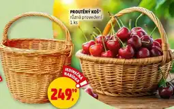 Penny Market Proutěný koš nabídka