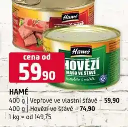 Terno HAMÉ nabídka