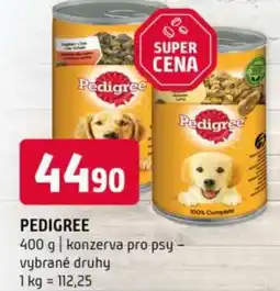Terno Pedigree nabídka
