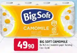 Terno Big soft camomile nabídka