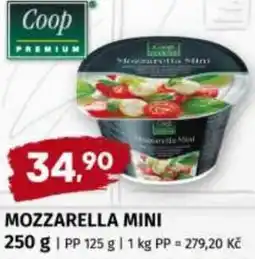 Terno Mozzarella mini nabídka