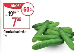 Globus Okurka hadovka nabídka