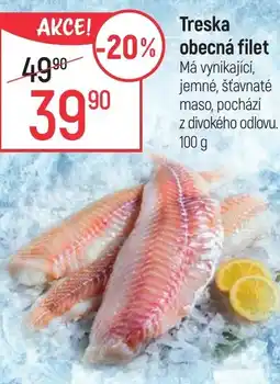 Globus Treska obecná filet nabídka