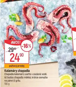 Globus Kalamáry chapadla nabídka