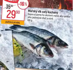 Globus Mořský vlk celý kuchaný nabídka