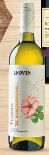 Globus Znovín Znojmo nabídka