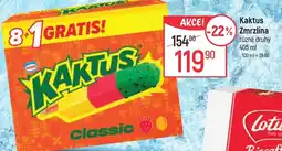 Globus Kaktus Zmrzlina nabídka