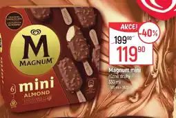 Globus MAGNUM mini nabídka