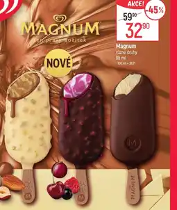 Globus MAGNUM nabídka