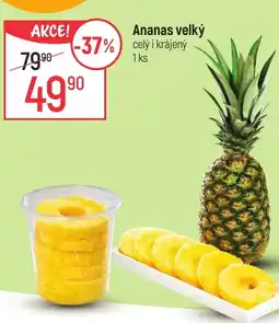 Globus Ananas velký nabídka