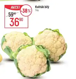 Globus Květák bílý nabídka
