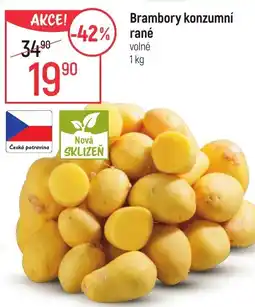 Globus Brambory konzumní rané nabídka