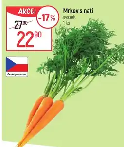 Globus Mrkev s natí nabídka