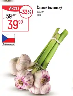 Globus Česnek tuzemský nabídka
