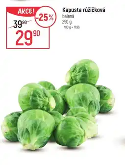 Globus Kapusta růžičková nabídka