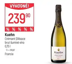 Globus Kuehn nabídka