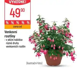 Globus Venkovní rostliny nabídka