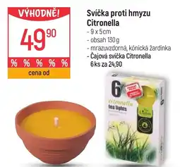Globus Svíčka proti hmyzu Citronella nabídka
