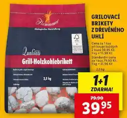 Lidl GRILOVACÍ BRIKETY Z DŘEVĚNÉHO UHLÍ, 2,5 kg nabídka