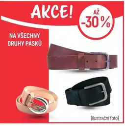 Globus Na všechny druhy Pásků nabídka