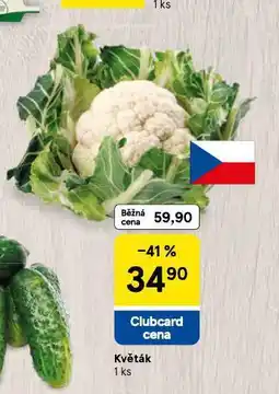 Tesco Květák nabídka